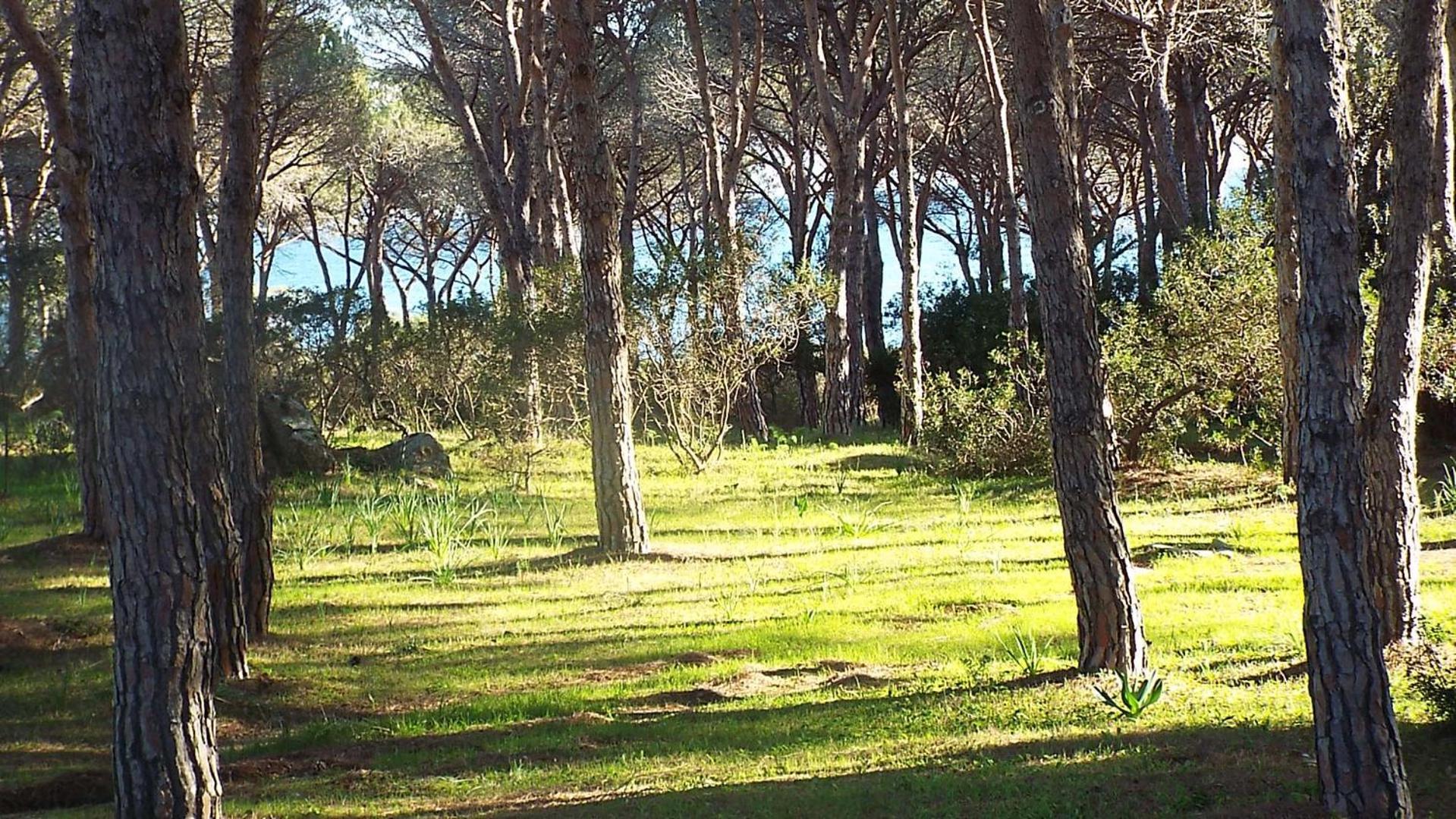 טנאונלה Villetta 1.2 Km Dalla Spiaggia Budoniaffitti מראה חיצוני תמונה